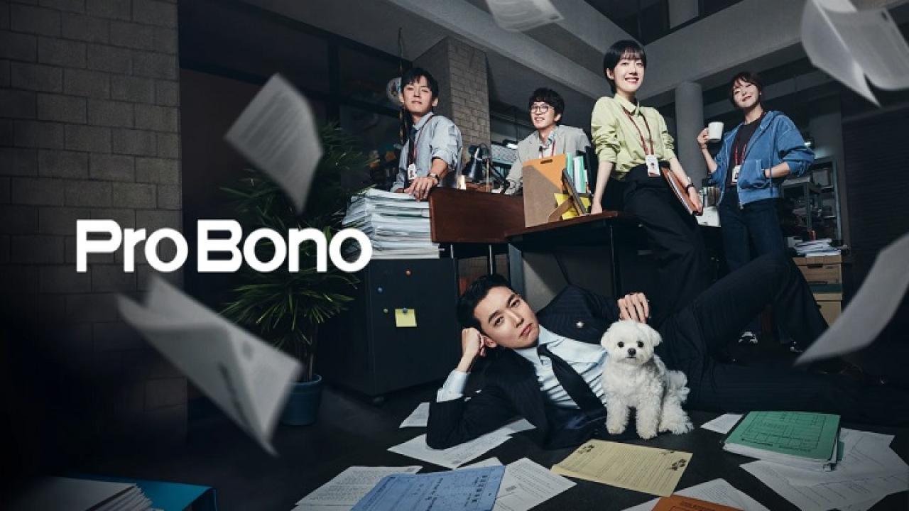 مسلسل Pro Bono مترجم